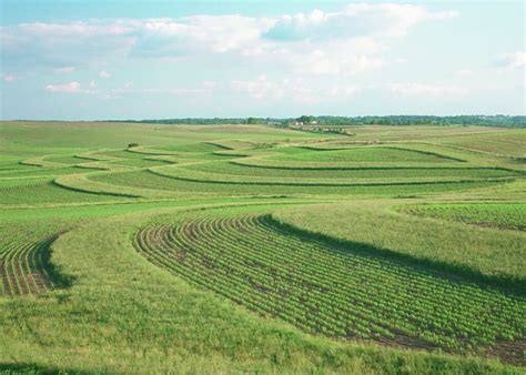 buffer strip cropping.